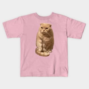 Scottish fold Kids T-Shirt